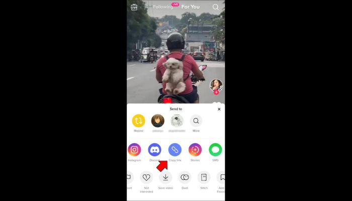Copy link on mobile