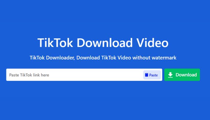 Download the video