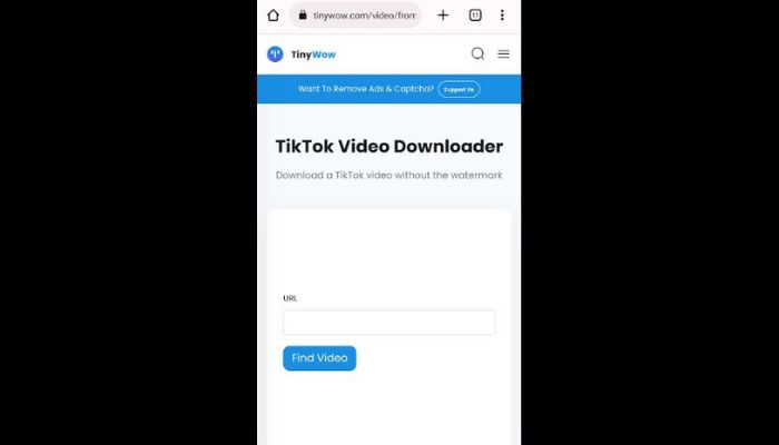Paste the link on mobile