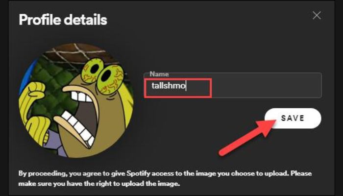Spotify Profile Details