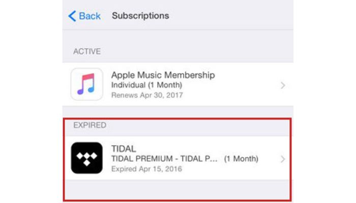 Tidal Subscribe