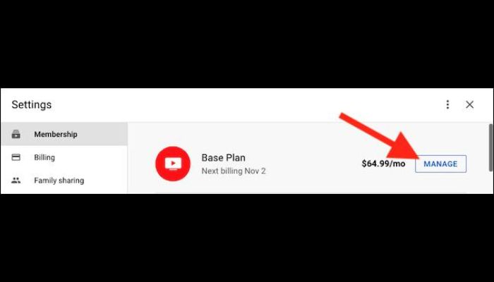 Youtube Account Manage