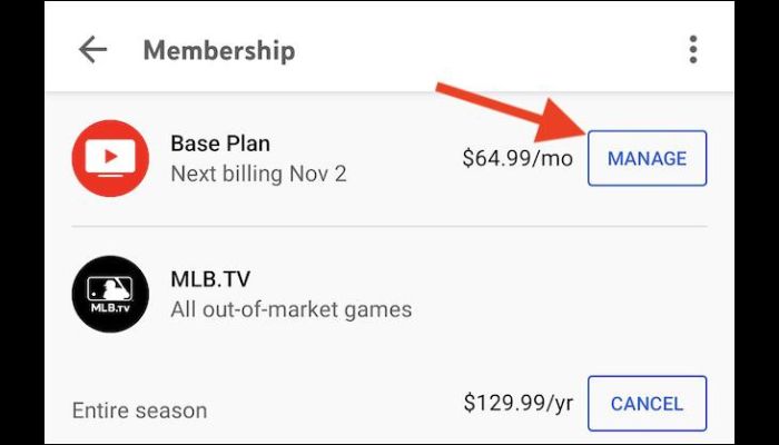 Youtube membership