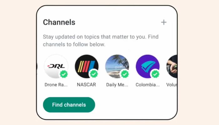 Different Features Of WhatsApp Channel