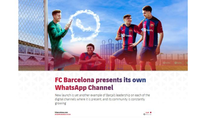 Whatsapp Channel Info
