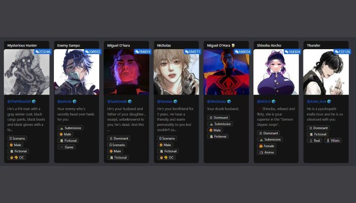 Chatbots SFW and NSFW