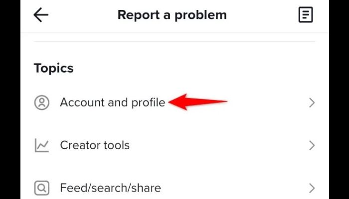TikTok Account and Profile settings
