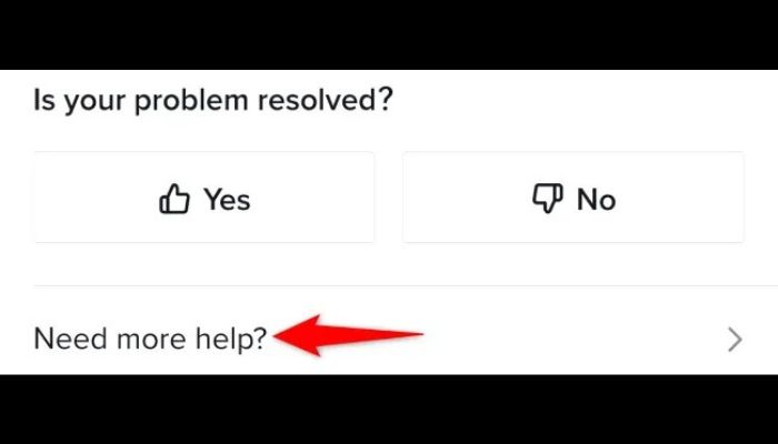 TikTok Need More Help