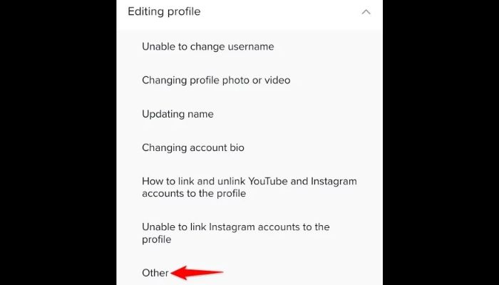 TikTok Other Help