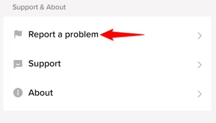 TikTok Report A Problem