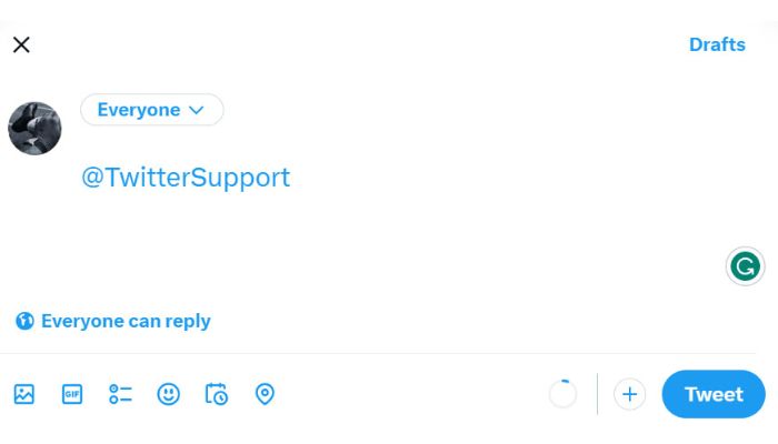 Twitter Support