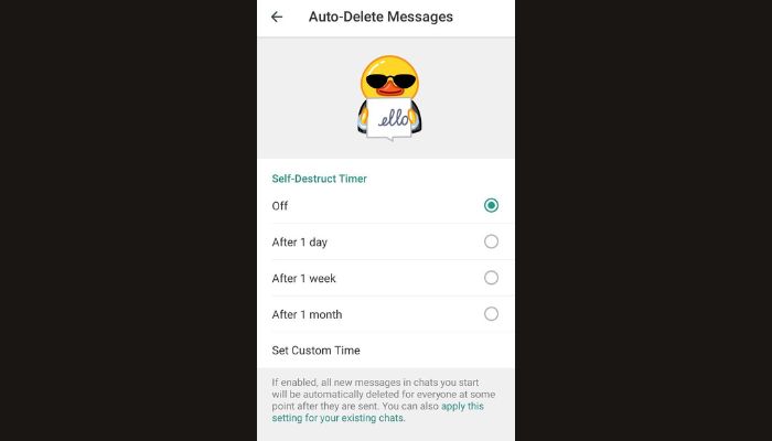 Auto-Deletion of Texts