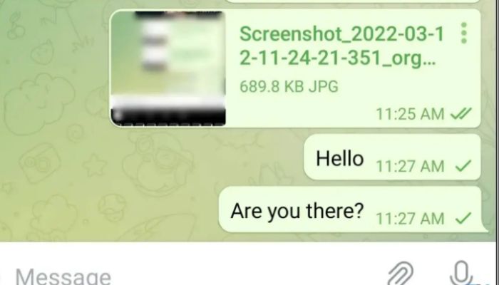 Check Message Sent