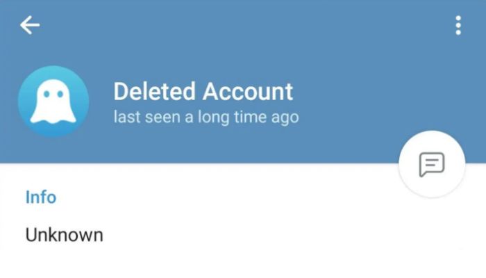 Deleted Telegram Account