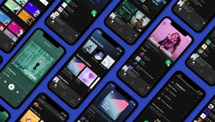 Spotify Subscription