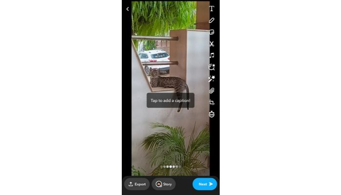 Using A Snapchat Filter