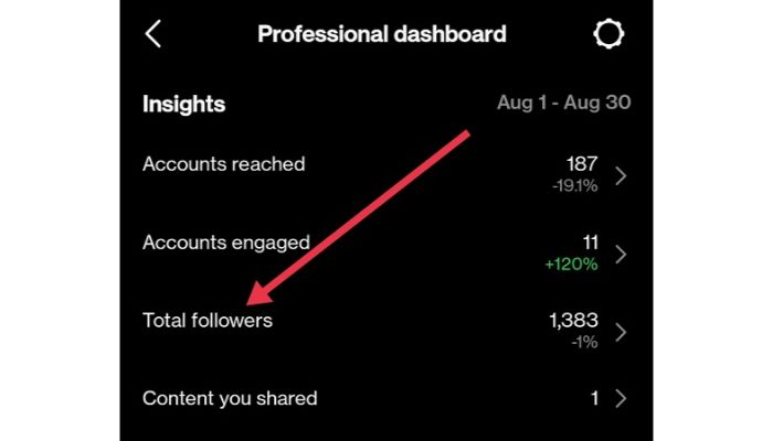 Instagram Total Followers