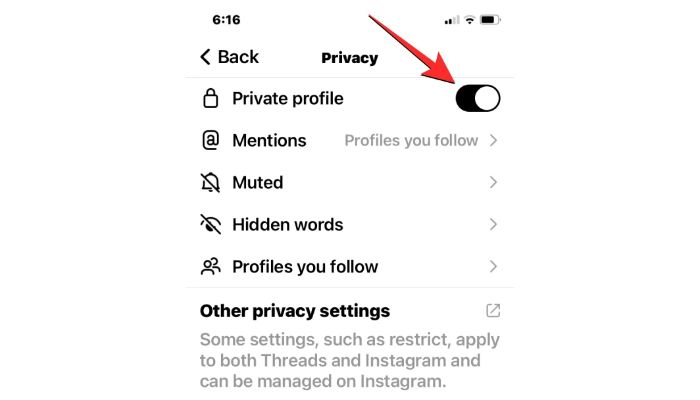 privacy settings on threadds