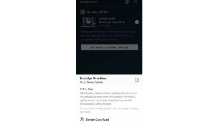 Delete Download