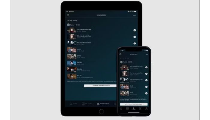 Is it possible to download Hulu movies
