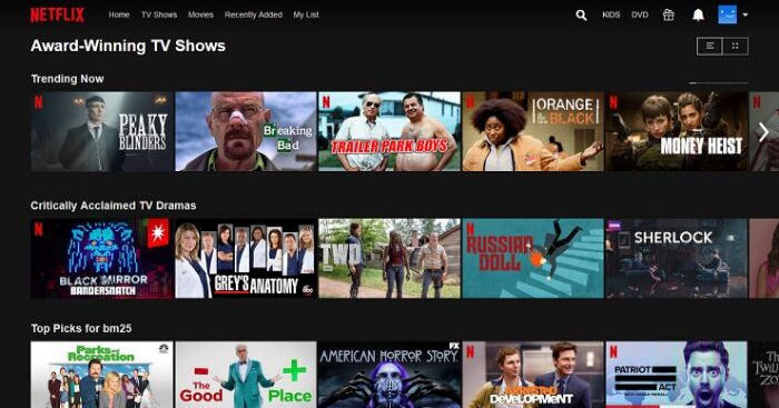 netflix User Interface